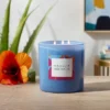 28oz Glass Moonlit Hibiscus Candle Light Blue - Opalhouse™ -Opalhouse Shop GUEST 2c95080b 9726 45aa 9b0e 3946015c92e0