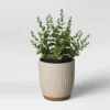 Textured Ceramic Planter Pots White - Opalhouse™ -Opalhouse Shop GUEST 81b3ab19 db4f 409c 9397 ff90f528d623