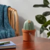 Cactus Ultrasonic Diffuser Green - Opalhouse™ -Opalhouse Shop GUEST be681bb5 49e3 41f7 99a3 5bc52fb79585