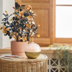 100ml Iridescent Oil Diffuser White - Opalhouse™ -Opalhouse Shop GUEST f12702f8 e31d 43ee 96f7 42fa6e708262